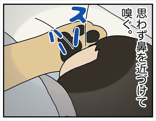 ワンちゃんを触りたいとお願いされた話