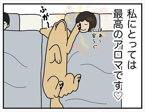 ワンちゃんを触りたいとお願いされた話