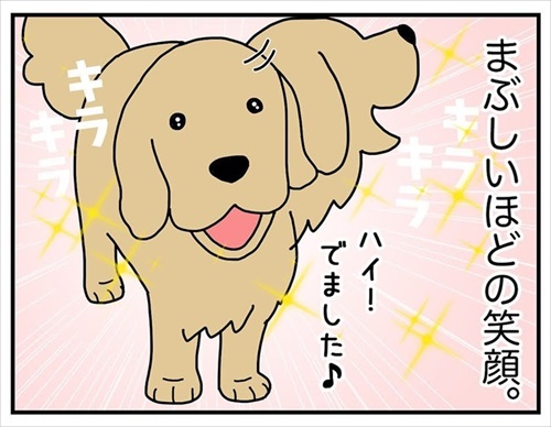 ワンちゃんを触りたいとお願いされた話