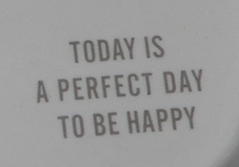 「今日は幸せになるのに最適な日です」　100均トレーで価値観を強要してくるディストピア飯がはかどりそう