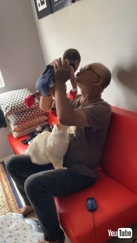 Grandpa's Attention