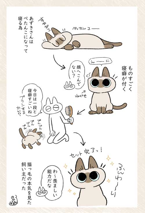 セミファイナル シャム猫 あずきさん 保護猫 漫画