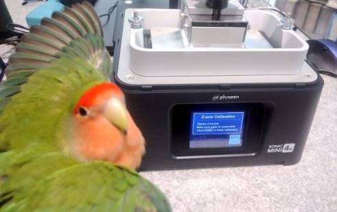 コザクラインコ ワンフェス封筒 開封