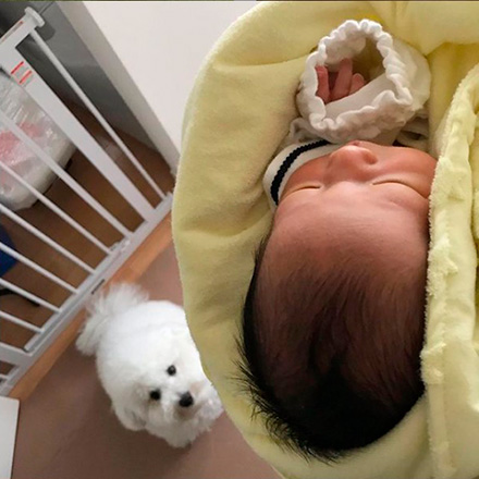 プペルビションフリーゼさん