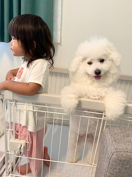 プペルビションフリーゼさん