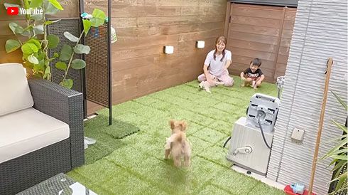 辻希美 バルコニー