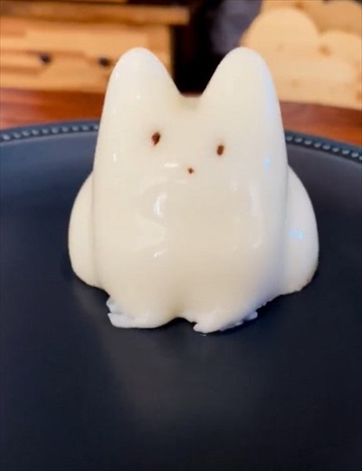 ボヨンボヨンの猫ちゃん