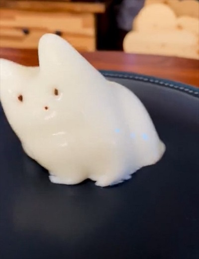 ボヨンボヨンの猫ちゃん