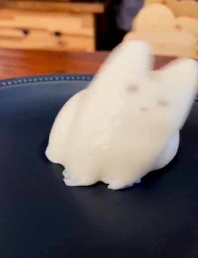 ボヨンボヨンの猫ちゃん