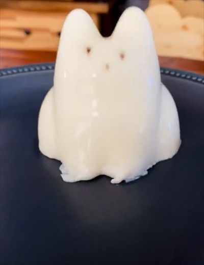 ボヨンボヨンの猫ちゃん
