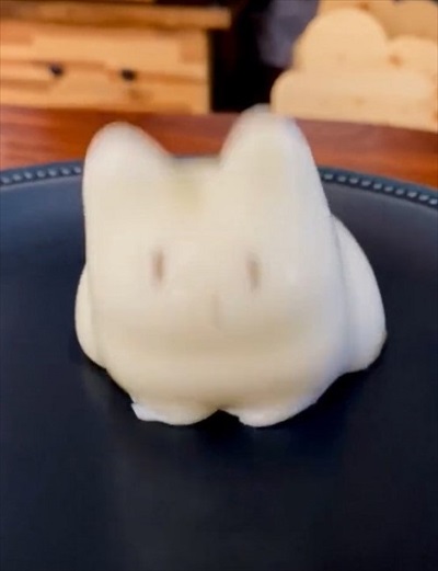 ボヨンボヨンの猫ちゃん