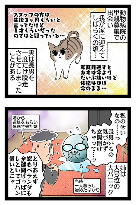  エピソードファイル長男2