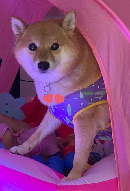 ナナちゃんだけアップ