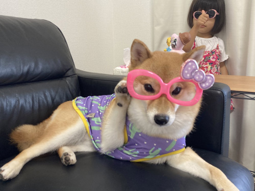 別日のパリピ