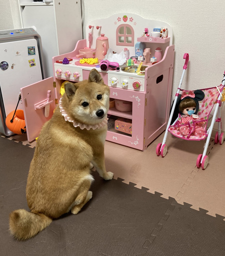 ラブリーナナちゃん