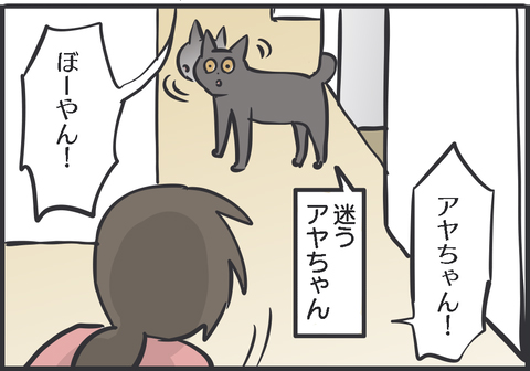 こんなに迷う猫の姿を初めて見た4