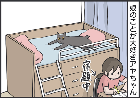 落ちながら待つ猫1