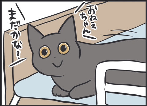 落ちながら待つ猫2