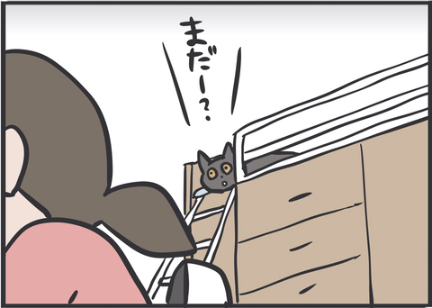 落ちながら待つ猫3