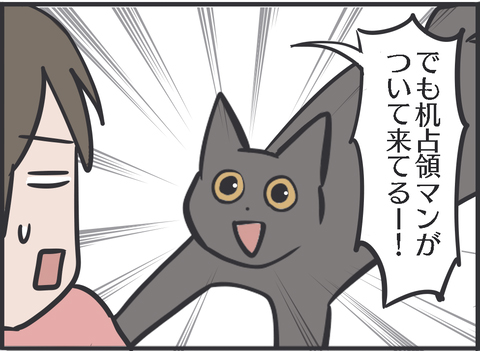 猫の気遣いを感じた時