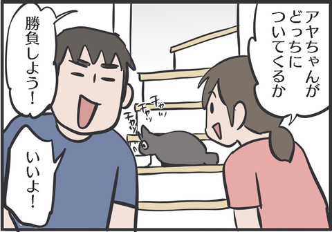 こんなに迷う猫の姿を初めて見た1