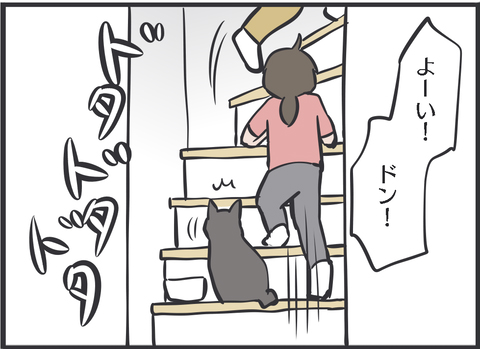 こんなに迷う猫の姿を初めて見た2
