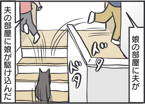 こんなに迷う猫の姿を初めて見た3