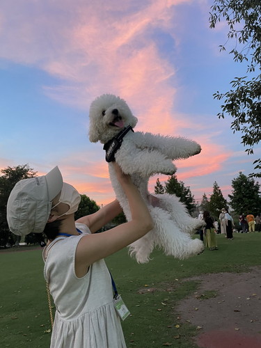 合成感でちゃっためるくん