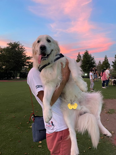 合成感でちゃっためるくん