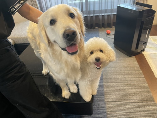 むうさんとめるくん