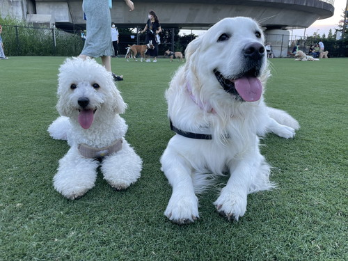 むうさんとめるくん