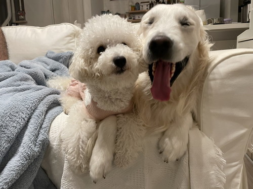 むうさんとめるくん