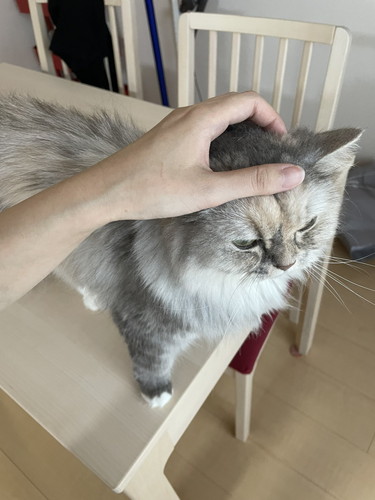 もかちゃんいろいろ