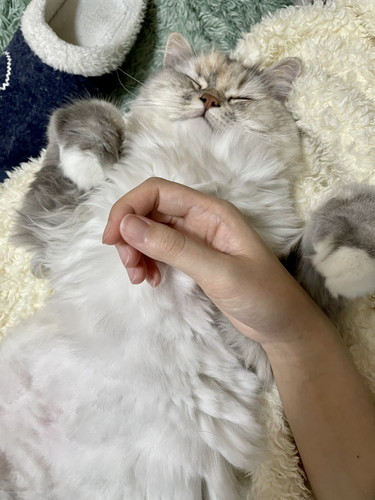 もかちゃんいろいろ