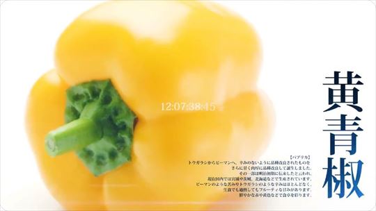 DMM×C2機関 新プロジェクト