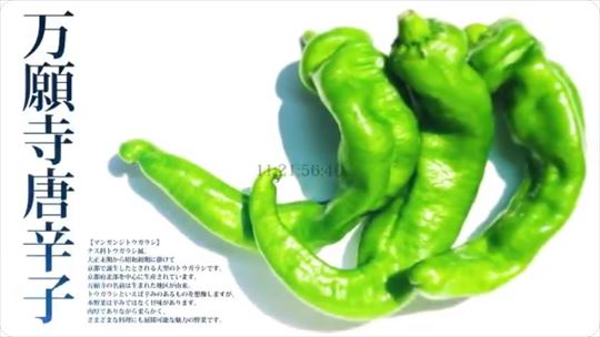 DMM×C2機関 新プロジェクト