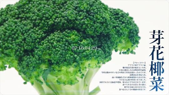 DMM×C2機関 新プロジェクト