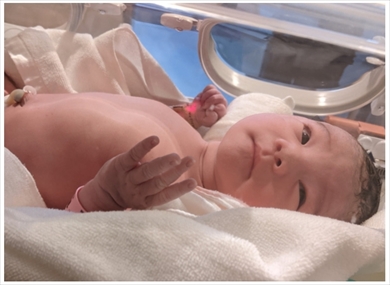 白鳥久美子 たんぽぽ 出産 帝王切開 チェリー吉武 ブログ 妊娠