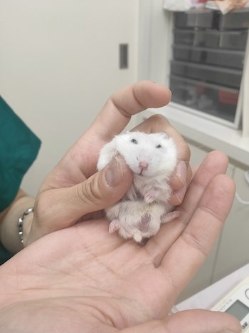 おすすめ