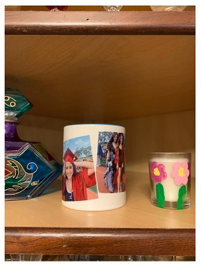 武田久美子 ソフィア 娘 大学 寮 スケート