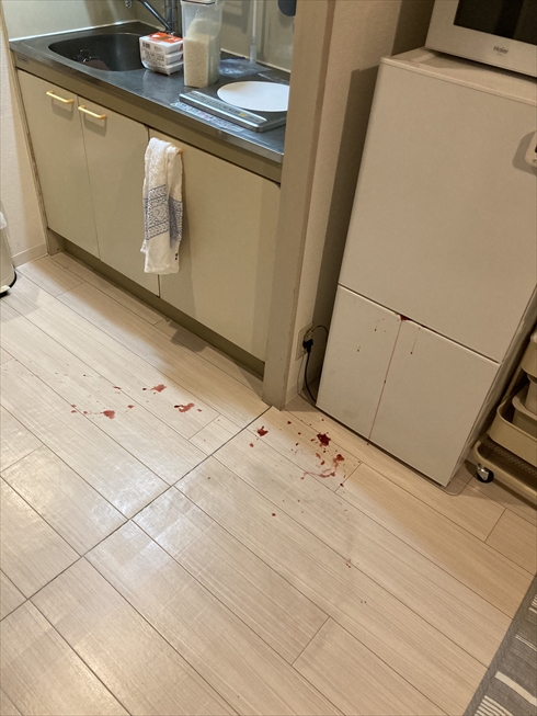 ブルーベリー ジャム