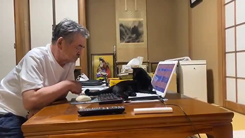 遊んでほしそうなるるちゃん