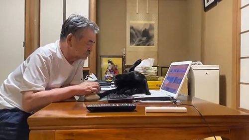 グルーミングるるちゃん