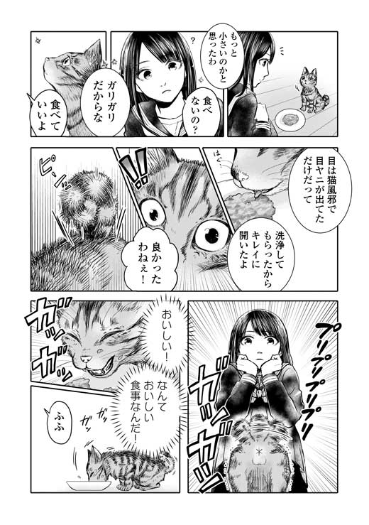 吾輩は猫であるが犬 沙嶋カタナ 漫画