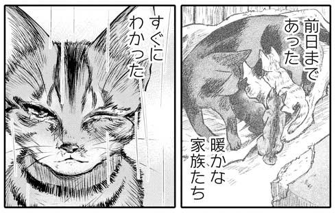 吾輩は猫であるが犬 沙嶋カタナ 漫画