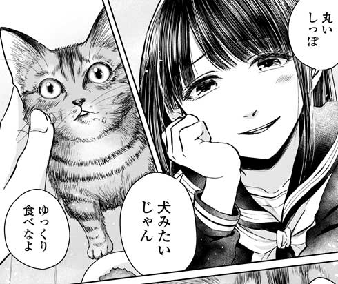 吾輩は猫であるが犬 沙嶋カタナ 漫画