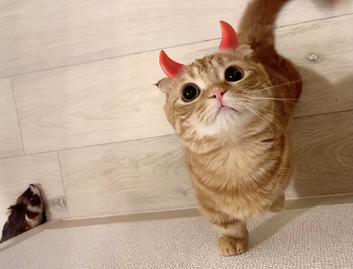 デビルひなちゃん