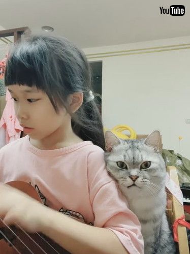 「Cat Oversees Music Practice || ViralHog」