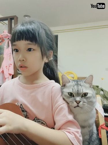 「Cat Oversees Music Practice || ViralHog」