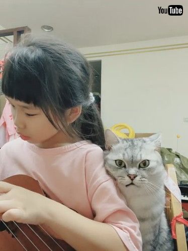 「Cat Oversees Music Practice || ViralHog」